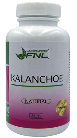 Kalanchoe 1000 mg